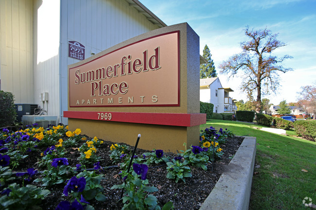 Summerfield Place Apartments - Summerfield Place Apartments