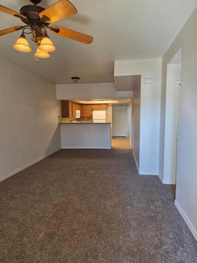 537 S Delaware Dr Unit 104