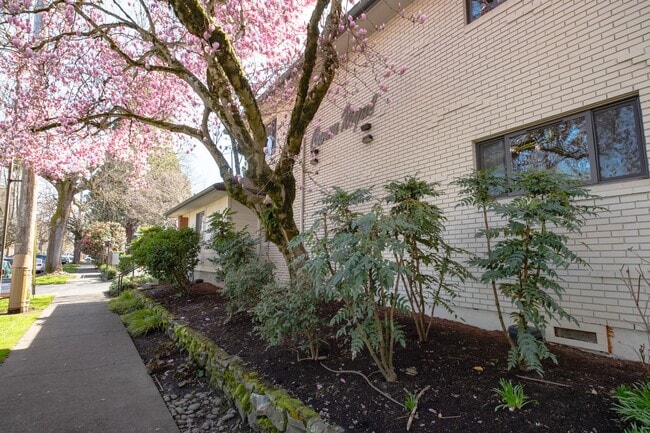Photo - Three Bedroom Oasis in the Heart of Irvington Unidad CI1921