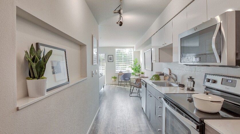 Angeline Apartments For Rent In Seattle Wa Forrent Com