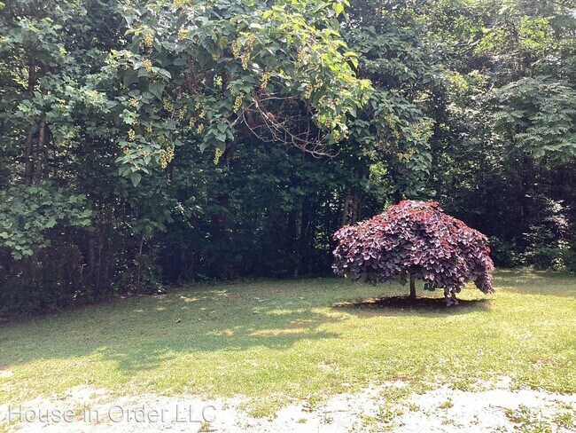 Photo - 3 br, 2 bath House - 159 Cedar Creek Rd