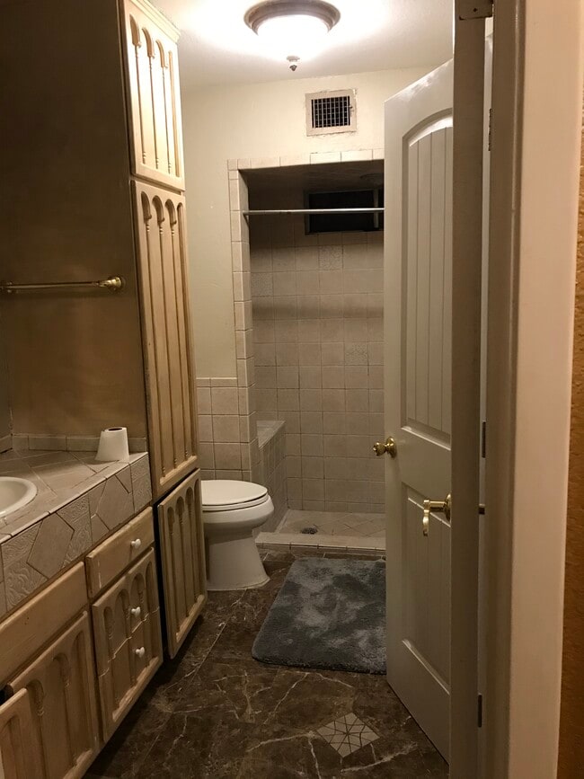 Master bedroom bathroom