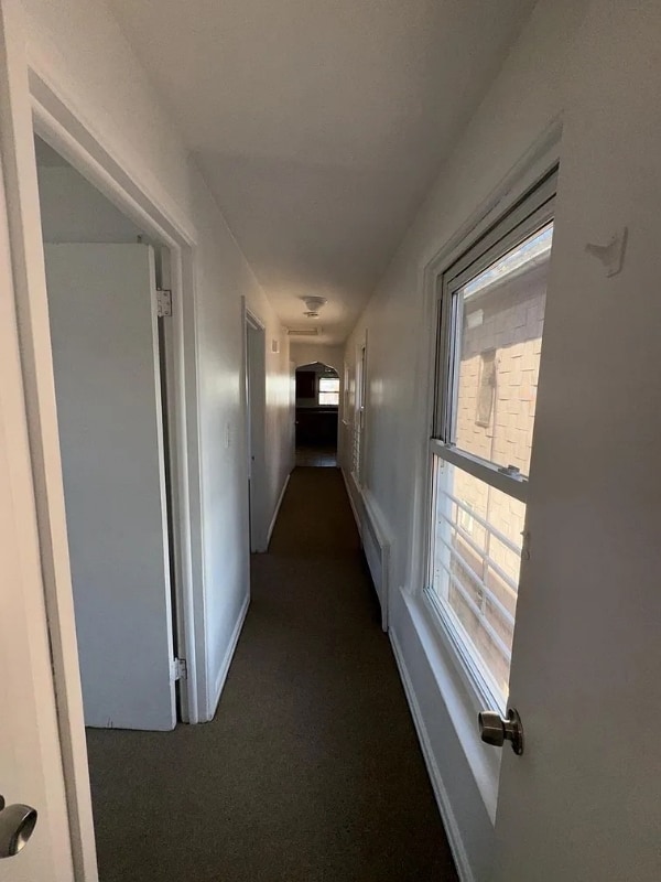 Photo - 233 Washington Ave Unit Floor 2