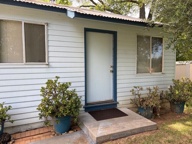 Photo - Country Environment in Town