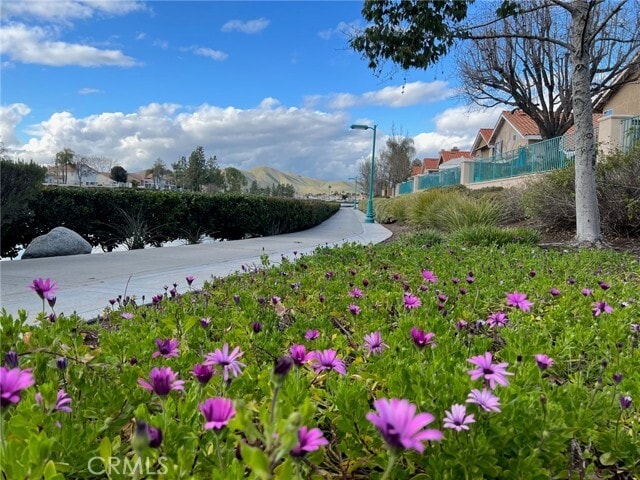 Building Photo - 30665 Spring Deep Terrace