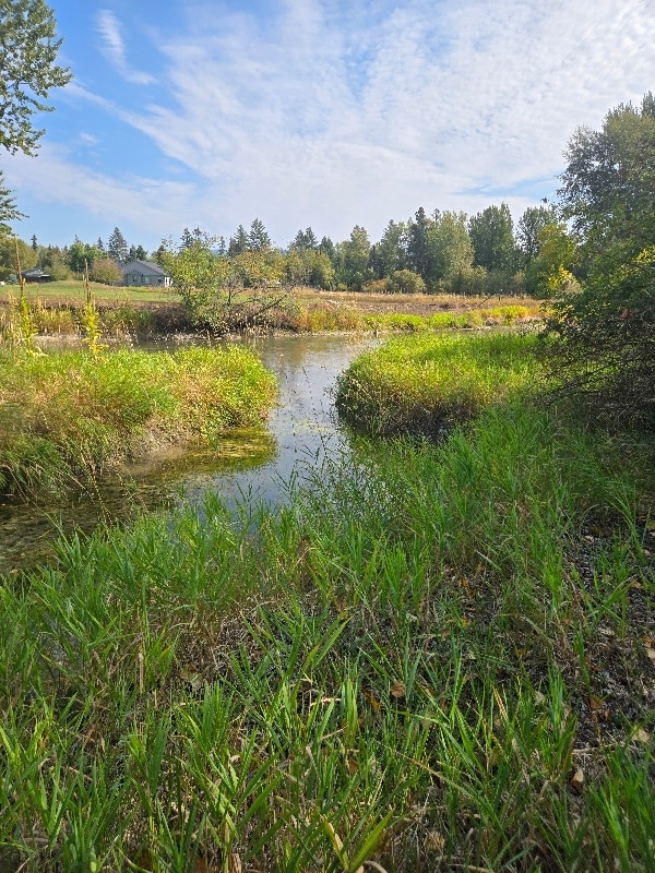 Photo - 16 Magstadt Ln