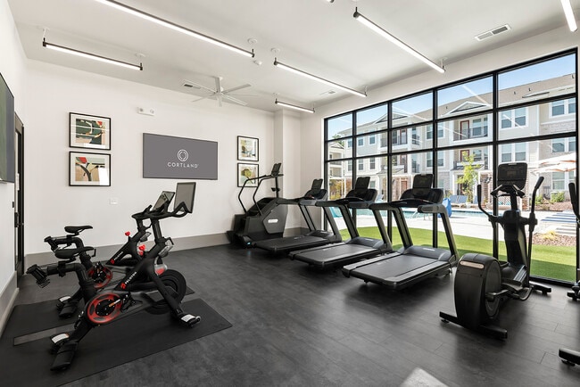 Cortland Wren Northlake