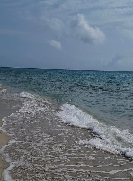 Photo - 19201 Collins Ave Unit 114