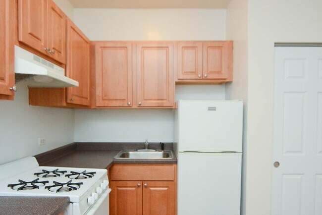 Photo - 1742 N Humboldt Blvd Unit 502