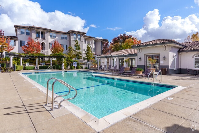 Pool - Falcon Bridge at Gale Ranch