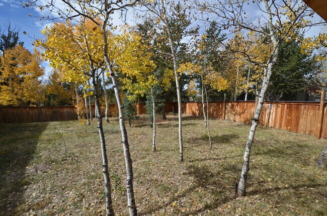 Photo - Fairplay home available 11/1/25- large fen...