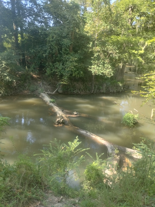 Photo - 357 Holly Ln