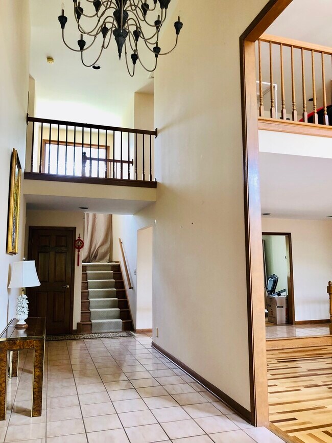 Photo - 241 Fiala Woods Ct