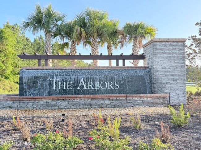 Photo - 12543 Rubber Fig Ter