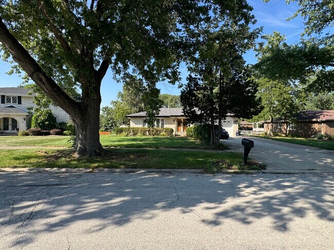 17W154 Terry Trail