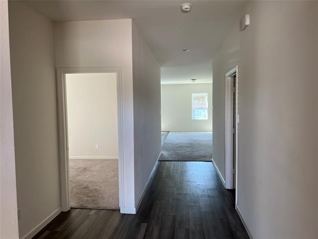 Photo - 10304 Rosegreen Ln