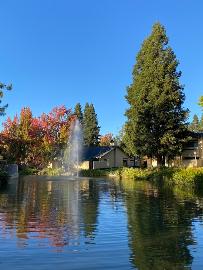 Photo - 1504 Woodlake Dr