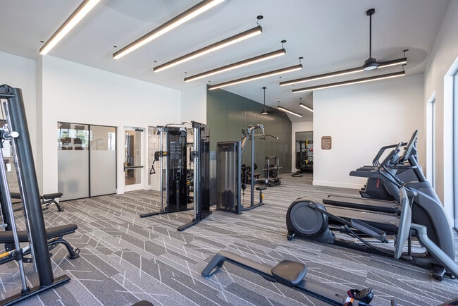 Gimnasio