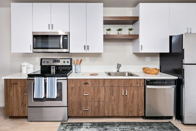 Full Sized Sustainable Appliances