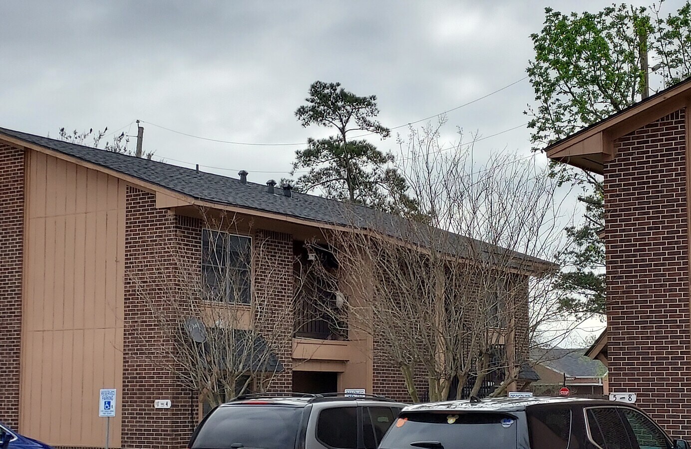 Timber Ridge Apts Magnolia Tx - 115 Commerce St Unit 3