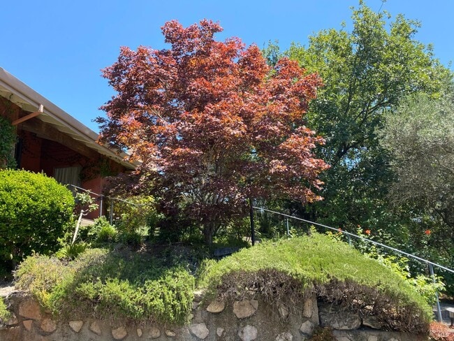 Photo - 3594 Silverado Trail N