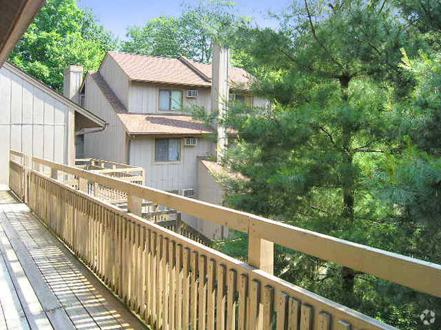 Sun Deck