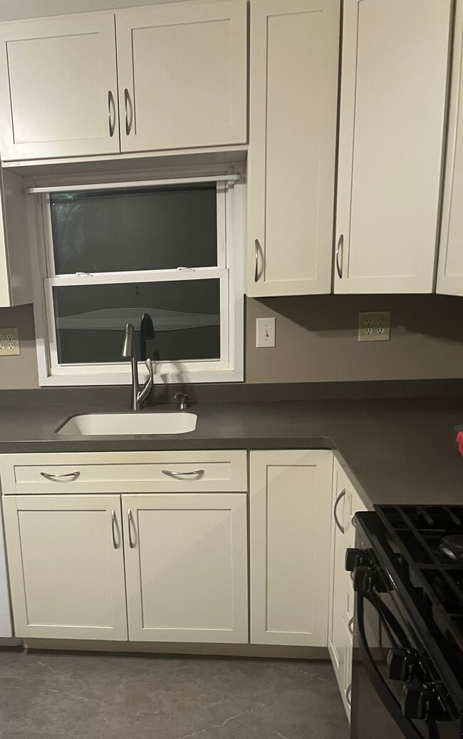 Gas stove and seamless sink-counter - 31 Perimeter Rd