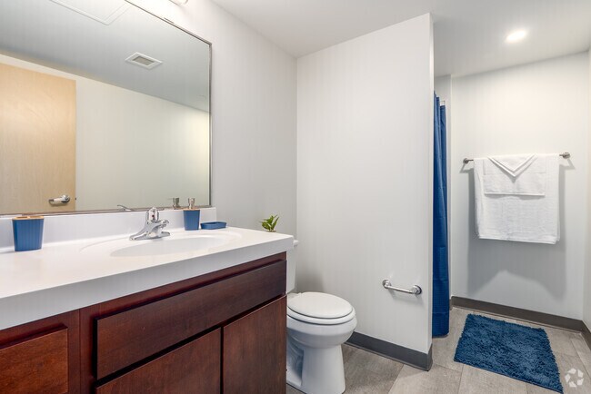 1BR, 1BA - 450SF - Bathroom