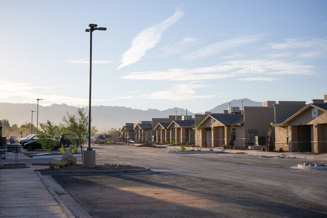Photo - Hemley Palms
