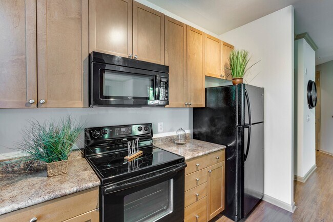 Photo - Summerfield At Morgan Metro Apartments