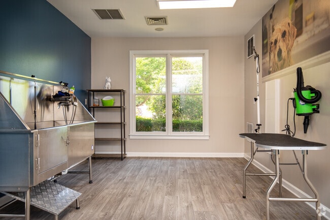 Pet Spa