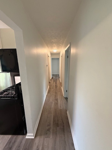 Photo - Jannat Arnsby