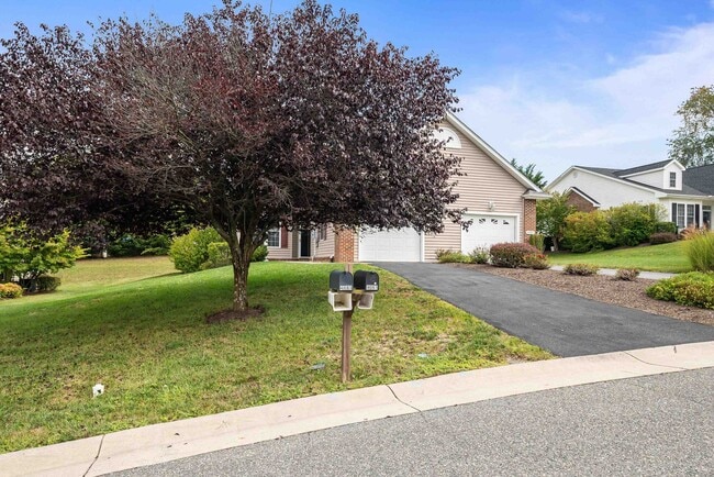 Photo - 4081 Forest Oaks Ln