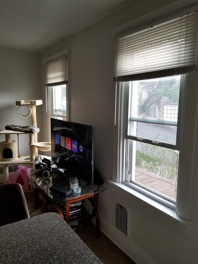 Living Room - 4007 Windsor St Unit 1