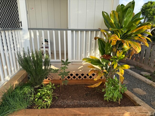 Gardening area with freshly tilled soil - 1871 Halekoa Dr