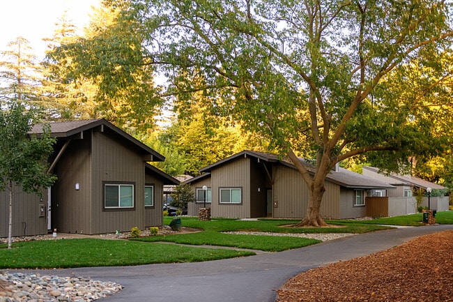 American River Commons