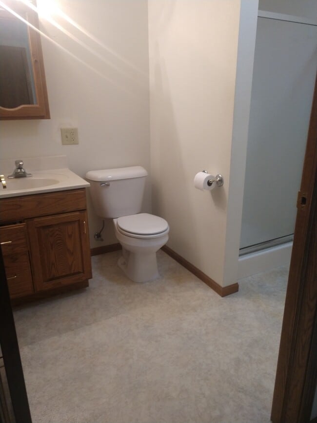 MASTER BATHROOM WITH SHOWER - 401 E Drake St Unit 401