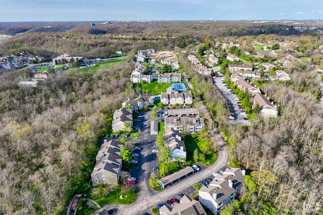 Aerial - Wrights Point