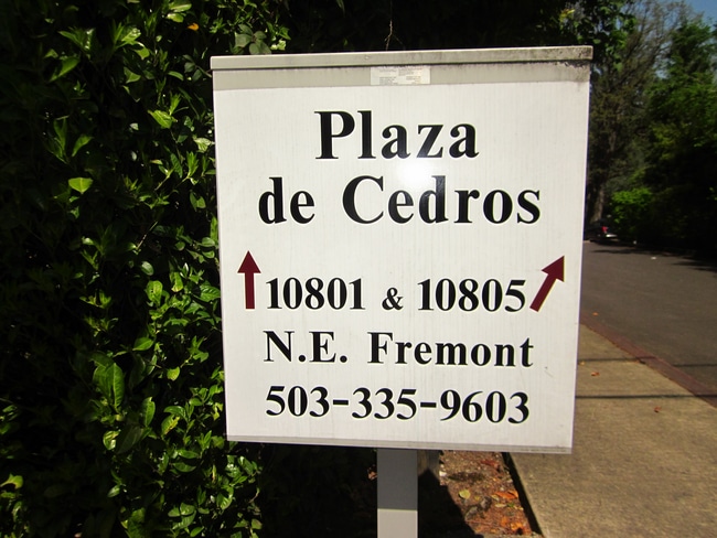 Plaza de Cedro