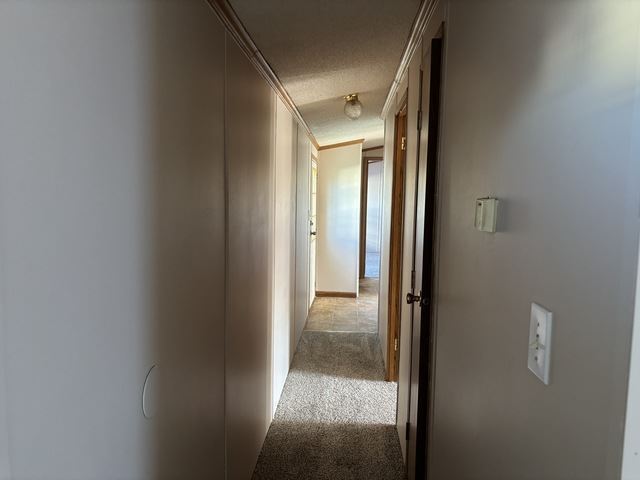 Photo - 848 Birchwood Dr