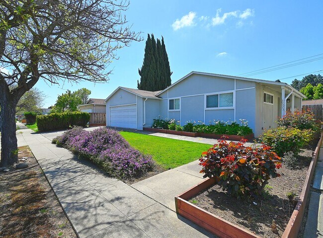 Photo - $3490 / 3 BED, 2 BATH BEAUTIFUL SUNDALE HOME