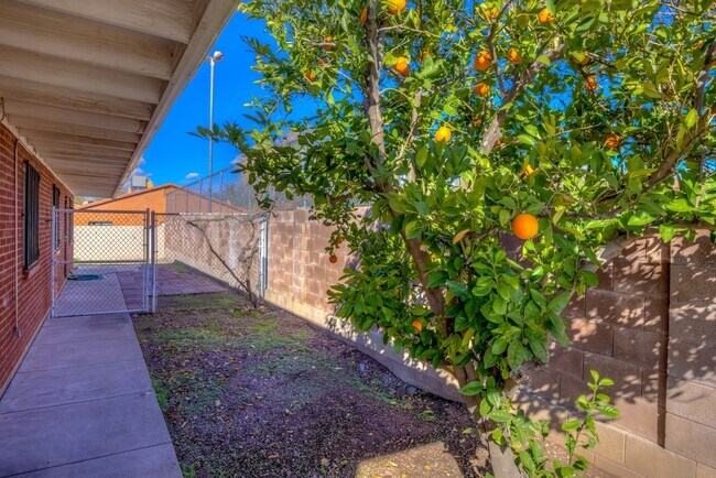 Photo - 415 E Jacinto St Unidad 417