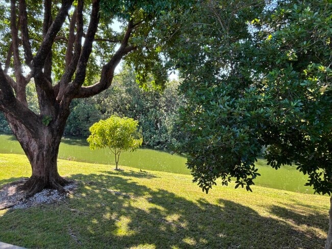 Building Photo - 87 Windsor D