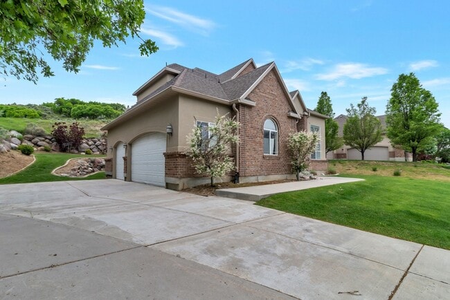 Photo - Jewel up in Alpine