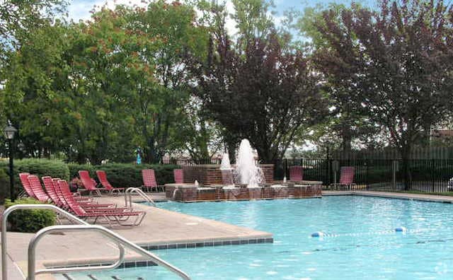 Pool with Waterfall