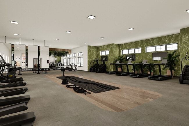 13-Gym2