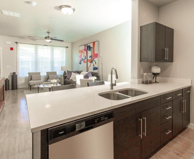 Modern Kitchen With Custom Cabinet
