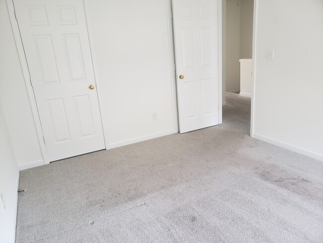 Photo - 5271 Reps Trce