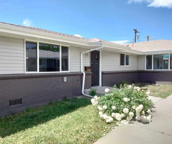Building Photo - Gorgeous Sloan's Lake 2 bedroom Unit 2047 Rental