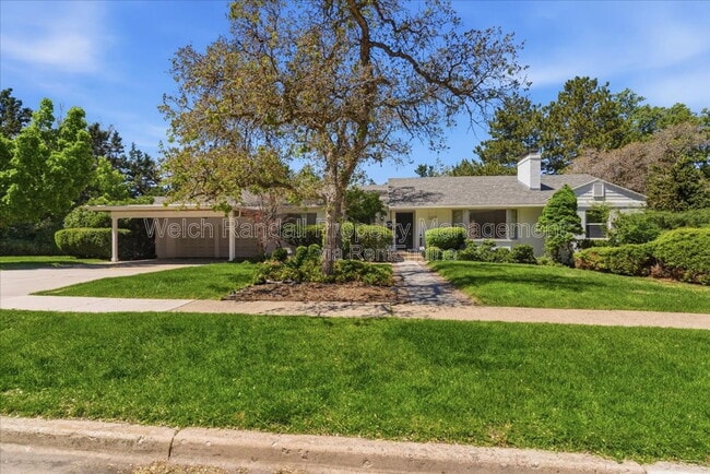 Photo - 3269 Polk Ave